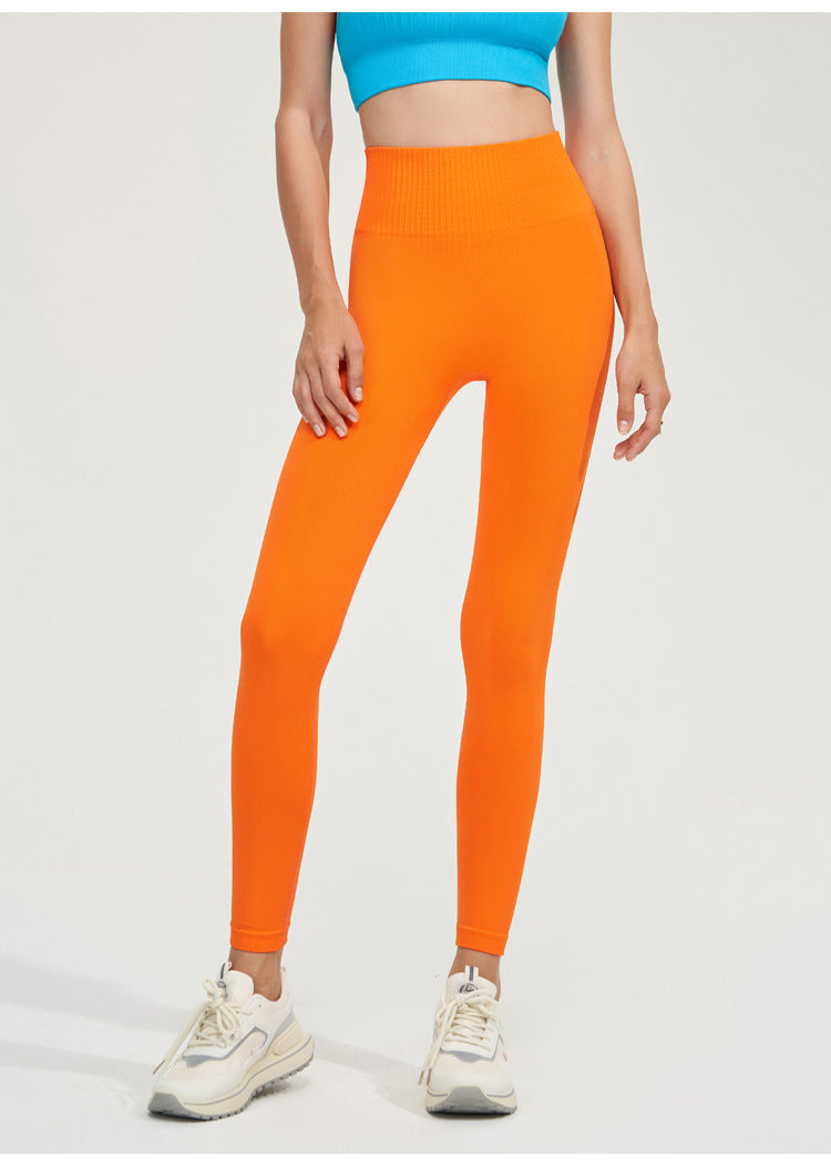 Seamless Women's Legging-CK9367